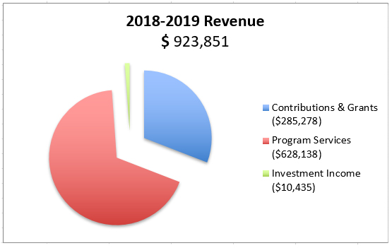 2018-2019-revenue