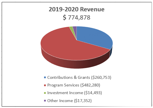 2019-2020-revenue