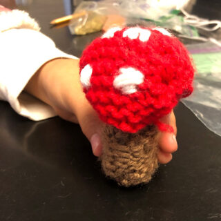 knitted mushroom