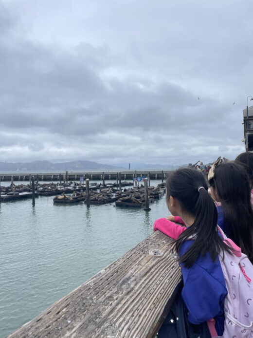 English Language Learners take field trip to SF