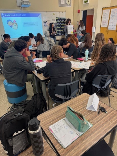 Teen Mental Health Training