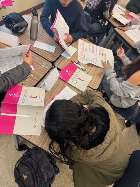 Teen Mental Health Training