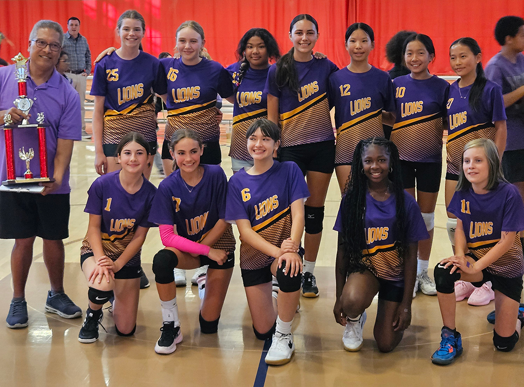 Lincoln Lions DII Volleyball Champs 2025