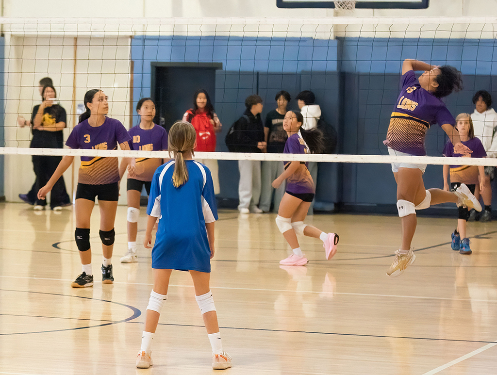 2025 Volleyball Championships