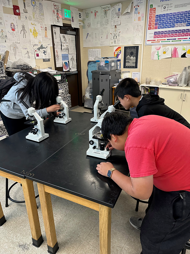 2026 Zainab Wood Middle School microscopes