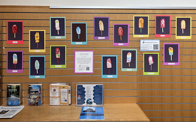 Student art at Bay Farm library
